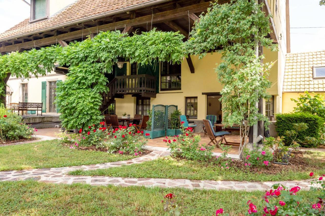 Rose - Piscine Partagee - Proche Europa Park Apartment Hessenheim ภายนอก รูปภาพ